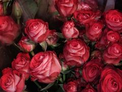 -面包达人(大邑县家乐福店)