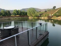 -帐篷客·溪龙茶谷度假酒店