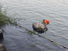 -天鹅湖体育公园