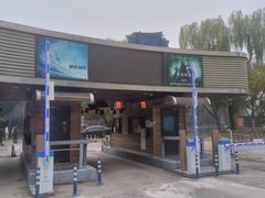 -枫花园汽车电影院(朝阳公园店)