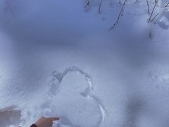 -武陵山森林公园