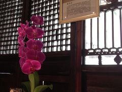 -赵记老铺(市府恒隆广场店)