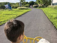 -嘉北郊野公园