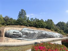 -三水森林公园