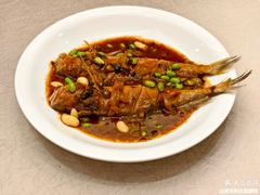 -苏启渔港(云南北路店)