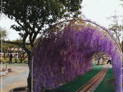 -长洲岛都市农业公园