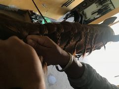 -松声马术俱乐部