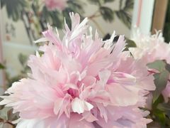 -花之城