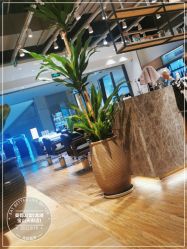 点击看大图 -Mentor Hair Salon