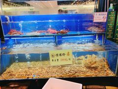 水产区-宁海食府(大剧院店)