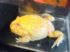 -老磨油饼(高陵店)