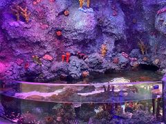 -沈阳海洋探索中心