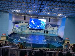 -福州罗源湾海洋世界旅游区