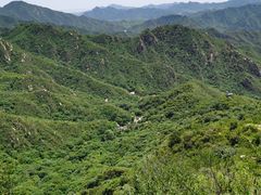 -大岭沟猕猴桃谷风景区