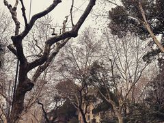 -常熟路(地铁站)