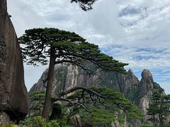 -黄山玉屏楼宾馆餐厅