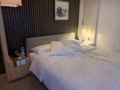 -上海柏悦酒店