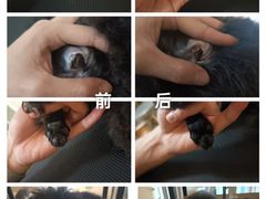 -听TA说宠咖·宠物生活馆(天韵水岸店)