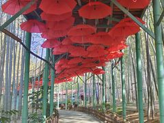 -陶祖圣境风景区