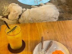 -咖法森林·咖啡  酒吧(天河店)