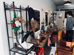 -净漪造型 PURE RIPPLE