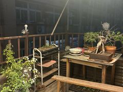 -风波庄(洪家楼店)