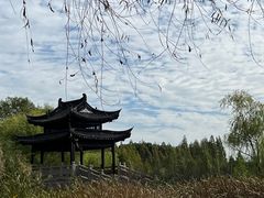 -尚湖风景区