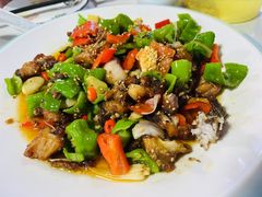 -煲来饱去冷水鱼