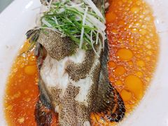 清蒸沙巴龙趸-稻香酒家(天河城店)