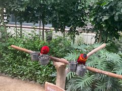 -南宫五洲植物乐园