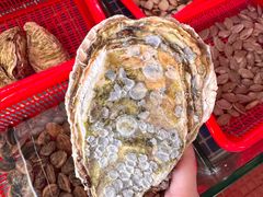 -巽寮印象美食部落餐厅·海鲜·地方特色菜(惠州体验店)