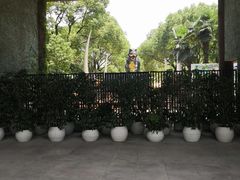 -热带风暴水上乐园(新镇路)