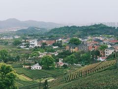 -龙坞茶村