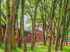 -福清灵石山国家森林公园