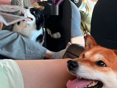 -上海昆虫博物馆