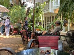 -Fern Forest Cafe