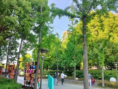 -南翔镇银翔湖公园