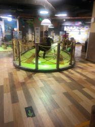 点击看大图 -七巧国萌宠乐园(龙湖天街店)