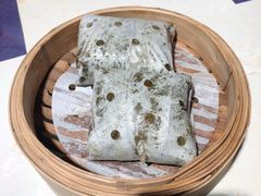 -点都德·毕德寮