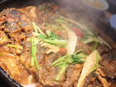 -老板恋上鱼(恒隆广场店)