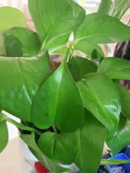 -尚艺造型.剪烫染.接发