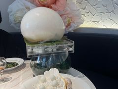 -汤城·料青山