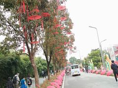 -武汉园博园(武汉自然博物馆)