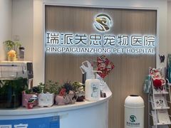 -瑞派·关忠动物医院·猫专科·犬专科(三环新城店)