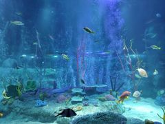 -沈阳海洋探索中心