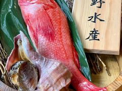 -矶野水产(澳门逸园中心店)
