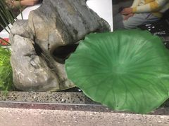-新辣道鱼火锅(航天万源店)