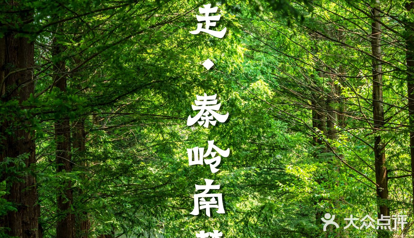 在网上看到这样一句话，“来留坝，过一个22度清凉夏天