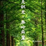 在网上看到这样一句话，“来留坝，过一个22度清凉夏天