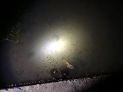 -动邦皮划艇·桨板·独木舟·团建户外运动俱乐部